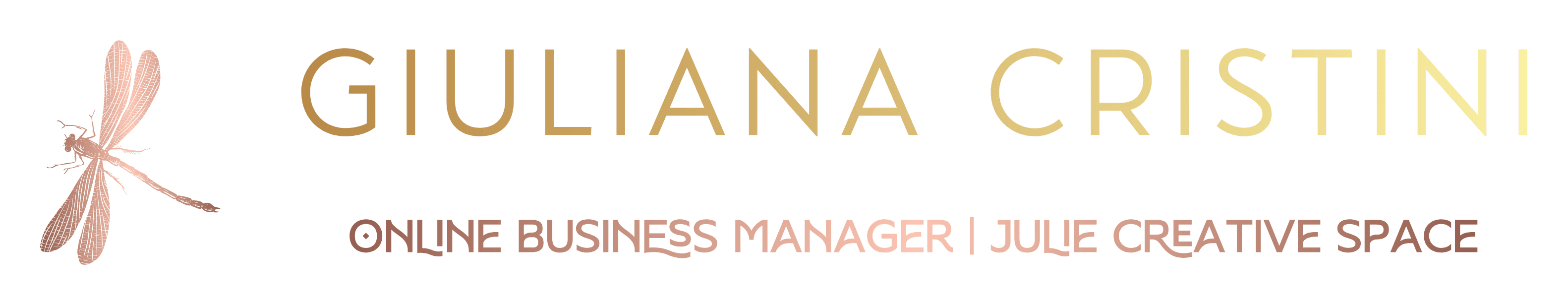 Color logo - no background